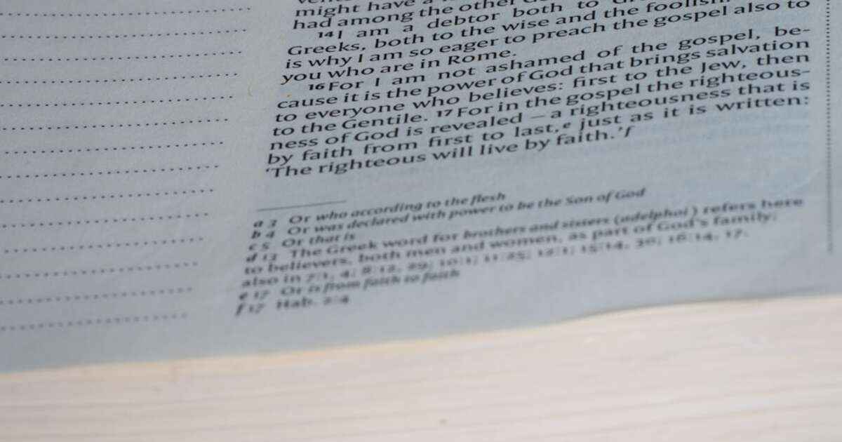 Website Compliance 101: A Business Owner’s Guide to Online Legal Basics