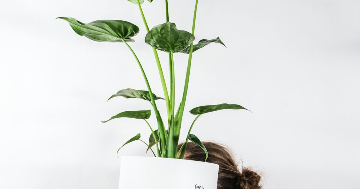 Growth hacking strategy with charts, graphs, and startup team