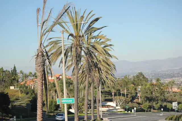 View of Anaheim skyline