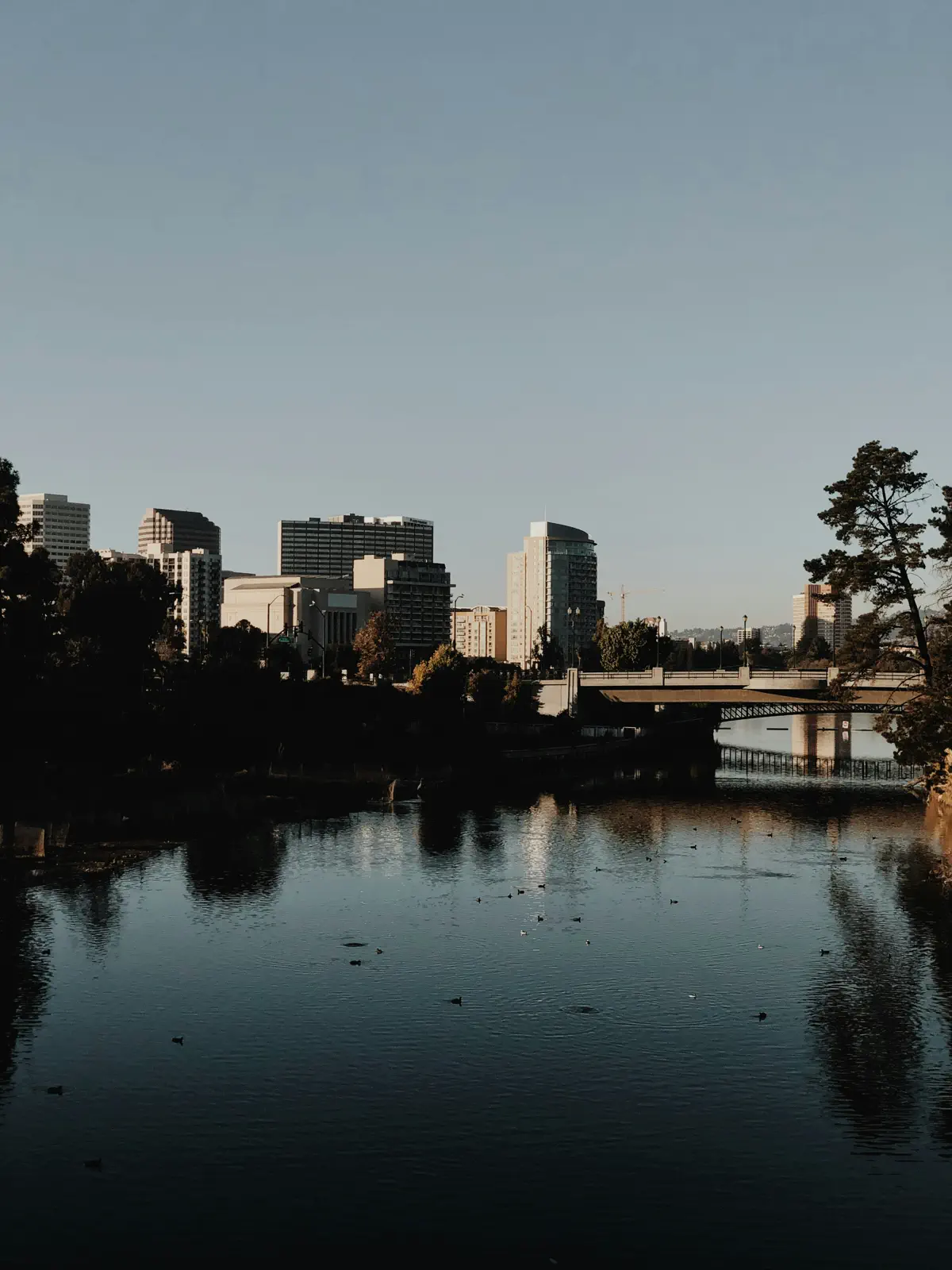 Lake Merritt with city skyline