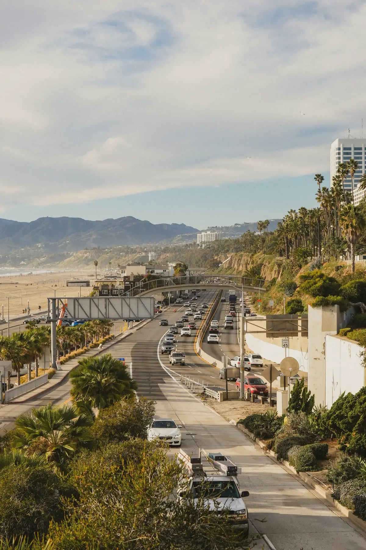 Santa Monica Freeway with palm trees
