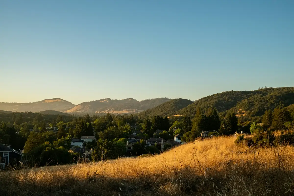 Skyline view of Santa Rosa